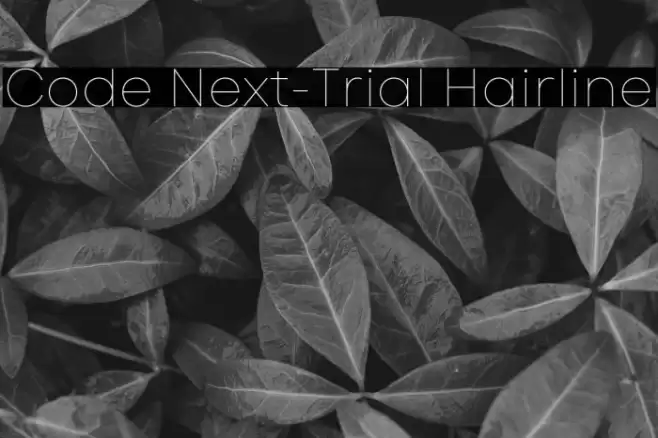 Code Next-Trial Hairline Font examples