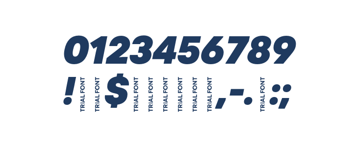 Code Next-Trial Heavy Italic Other Characters