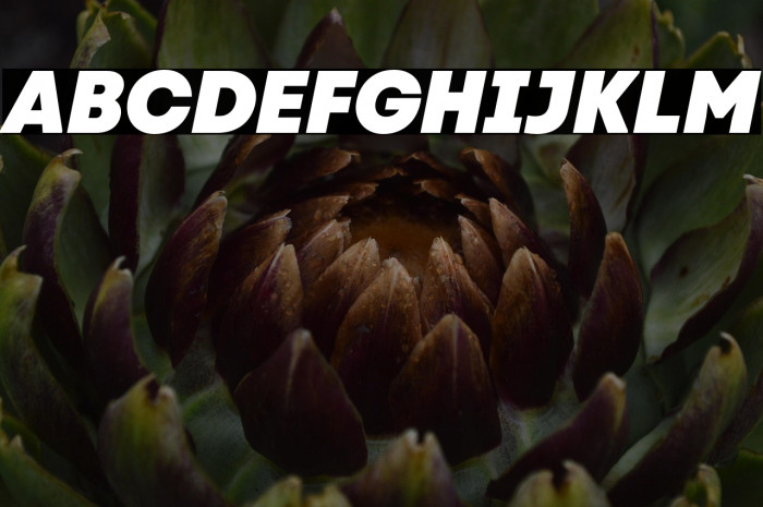 Code Next-Trial Heavy Italic Example 1