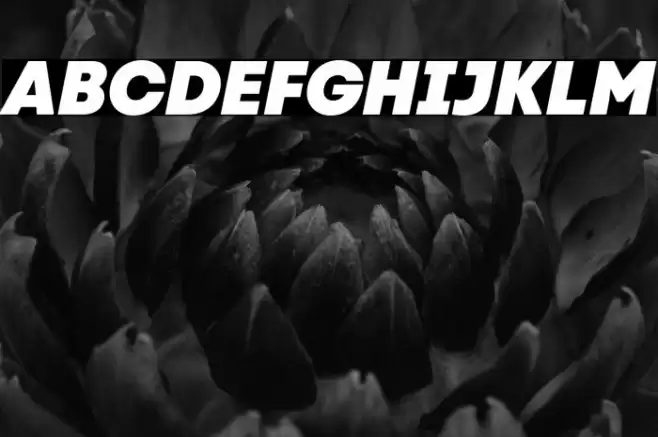 Code Next-Trial Heavy Italic Font examples