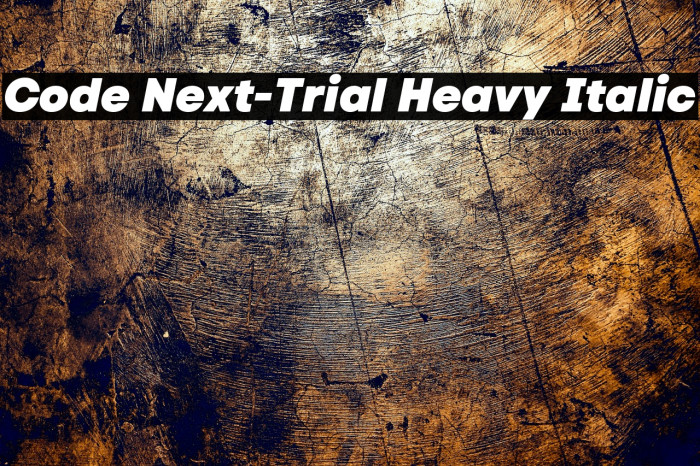Code Next-Trial Heavy Italic Example 1