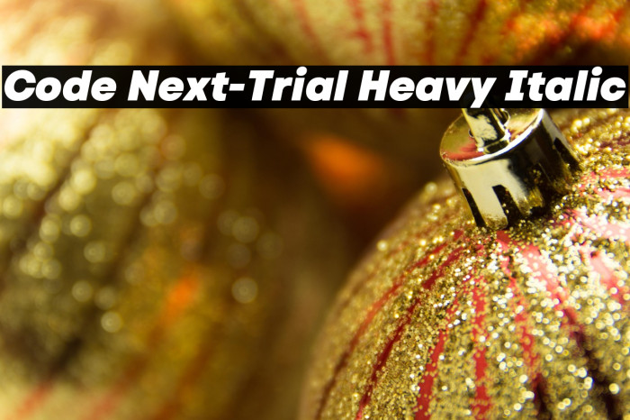 Code Next-Trial Heavy Italic Example 3