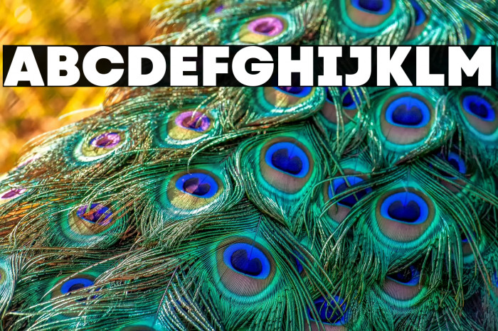 Code Next-Trial Heavy Example 2