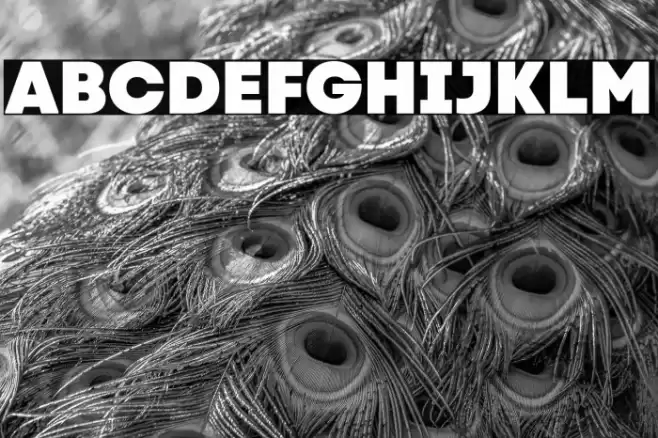 Code Next-Trial Heavy Font examples