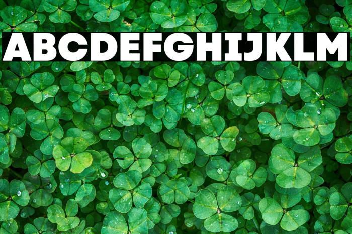 Code Next-Trial Heavy Example 3