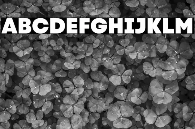 Code Next-Trial Heavy Font examples