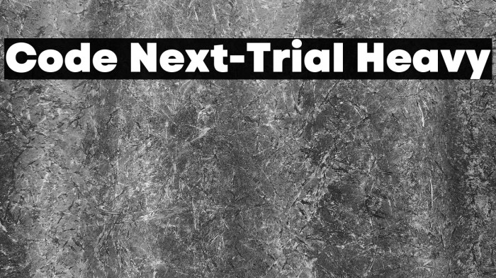Code Next-Trial Heavy Example 1