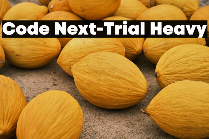 Code Next-Trial Heavy Example 2