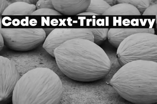 Code Next-Trial Heavy Font examples