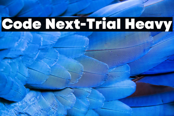 Code Next-Trial Heavy Example 3