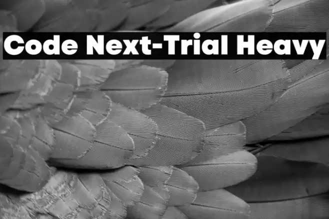 Code Next-Trial Heavy Font examples