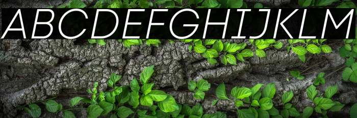 Code Next-Trial Light Italic Example 1