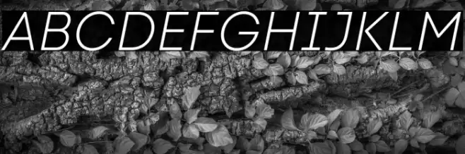 Code Next-Trial Light Italic Font examples