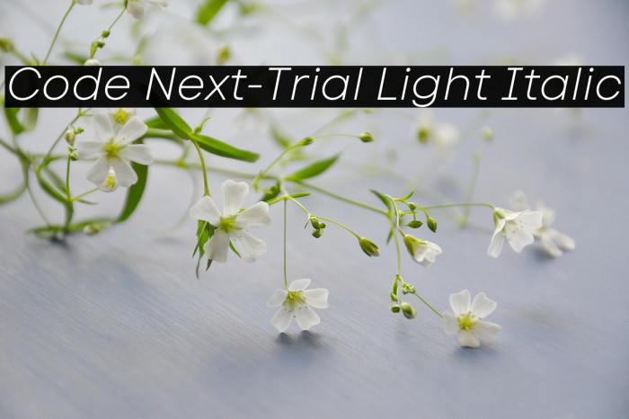 Code Next-Trial Light Italic Example 1