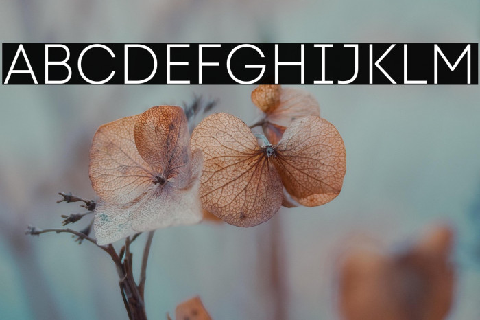 Code Next-Trial Light Example 1