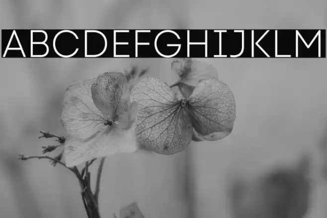 Code Next-Trial Light Font examples