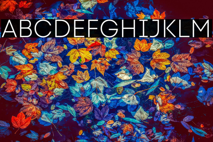 Code Next-Trial Light Example 3