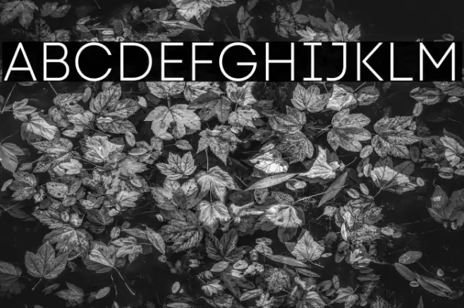 Code Next-Trial Light Font examples