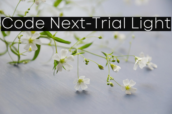 Code Next-Trial Light Example 1