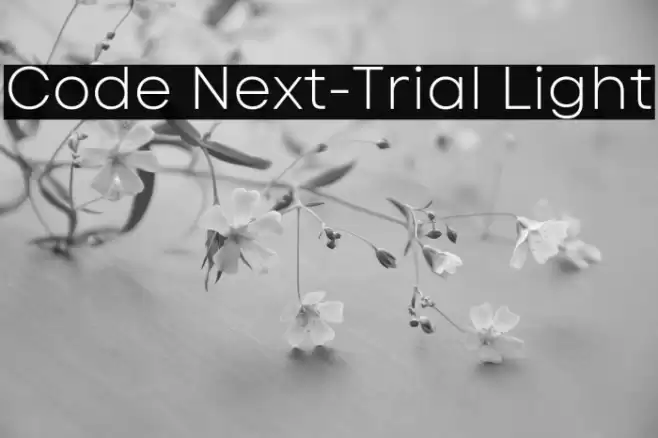 Code Next-Trial Light Font examples