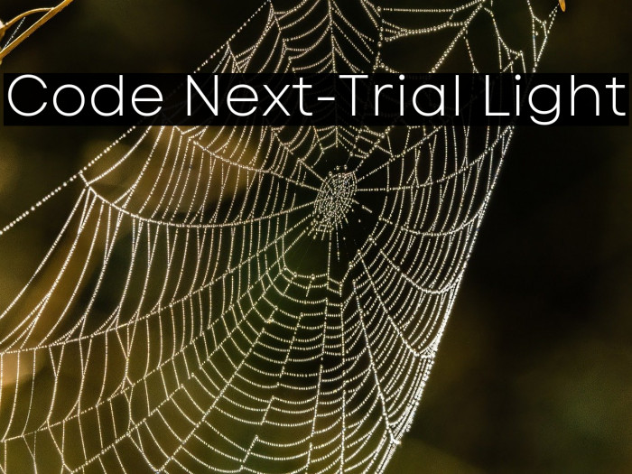 Code Next-Trial Light Example 2