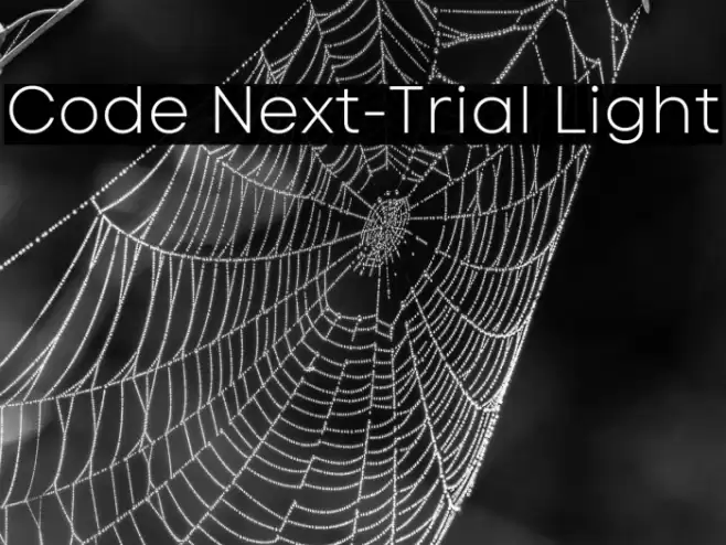 Code Next-Trial Light Font examples