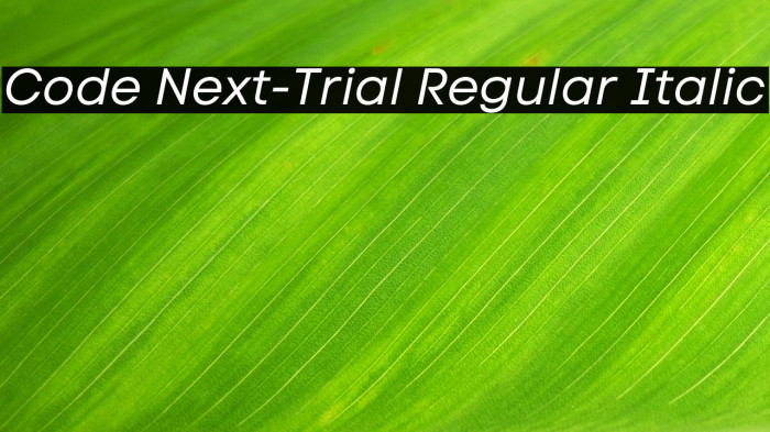 Code Next-Trial Regular Italic Example 2
