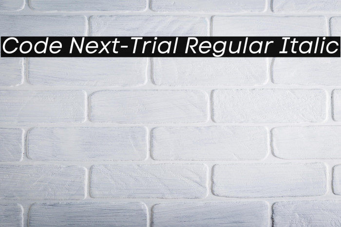 Code Next-Trial Regular Italic Example 3