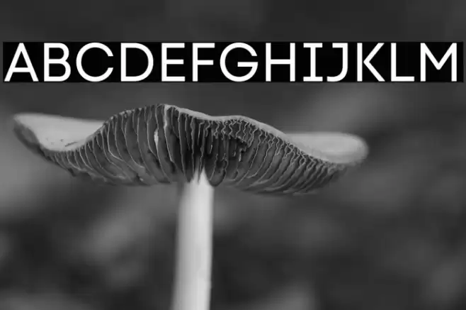 Code Next-Trial Regular Font examples