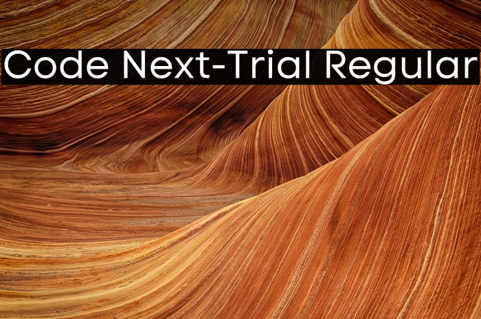 Code Next-Trial Regular Example 1