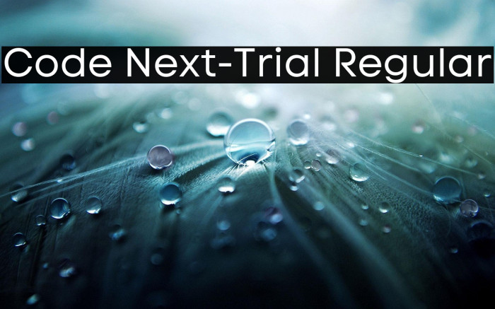 Code Next-Trial Regular Example 2