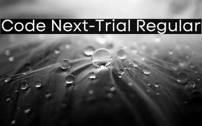 Code Next-Trial Regular Font examples