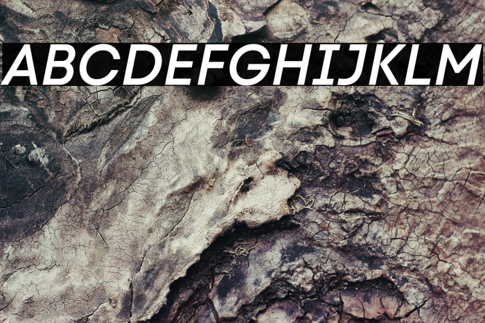 Code Next-Trial SemiBold Italic Example 1