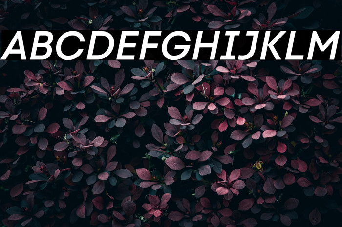 Code Next-Trial SemiBold Italic Example 2