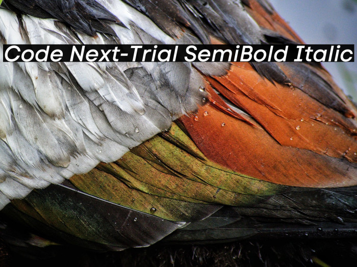 Code Next-Trial SemiBold Italic Example 2