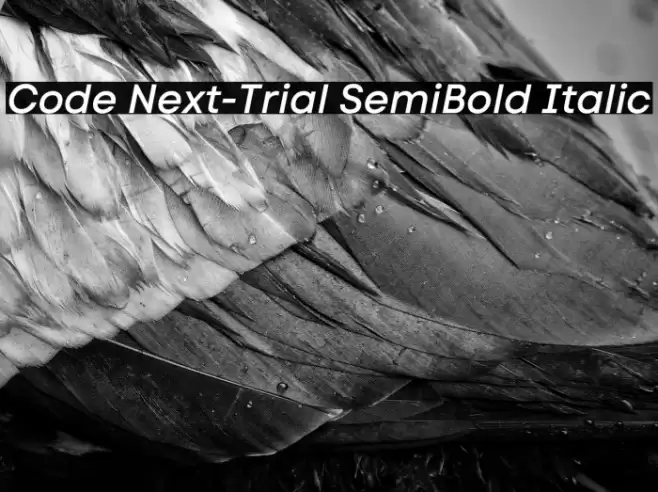 Code Next-Trial SemiBold Italic Font examples