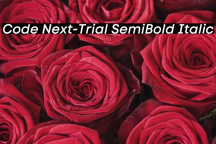 Code Next-Trial SemiBold Italic Example 3