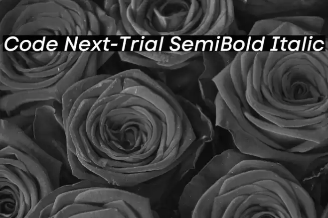 Code Next-Trial SemiBold Italic Font examples