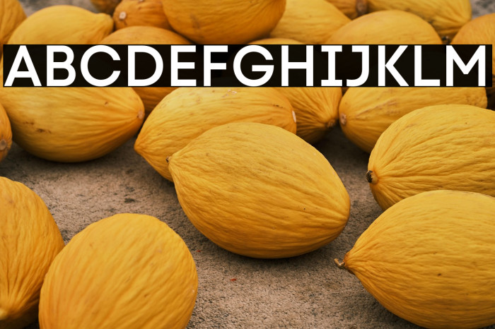 Code Next-Trial SemiBold Example 2