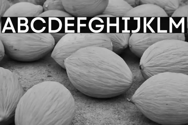 Code Next-Trial SemiBold Font examples