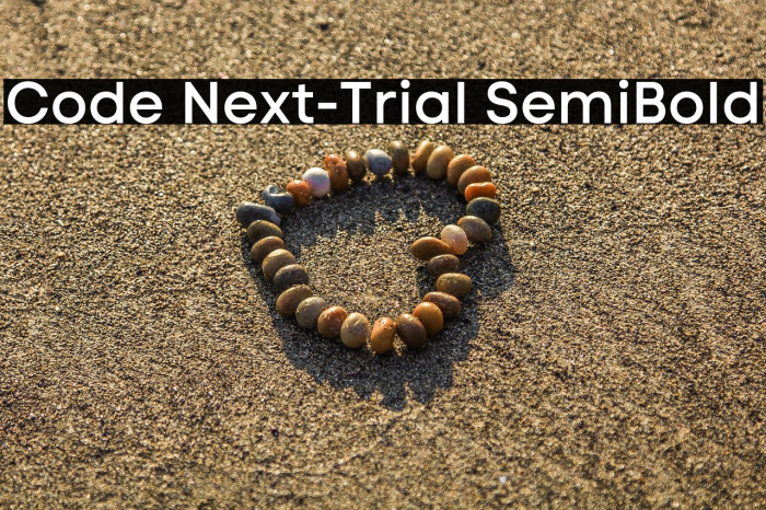 Code Next-Trial SemiBold Example 2