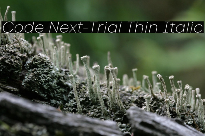 Code Next-Trial Thin Italic Example 1