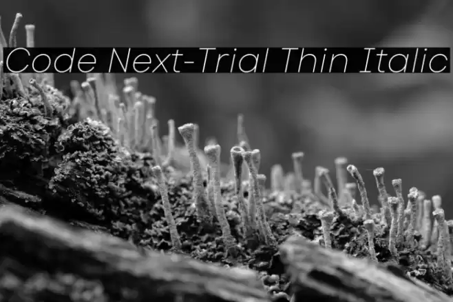 Code Next-Trial Thin Italic Font examples