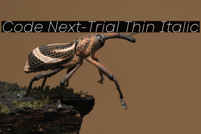 Code Next-Trial Thin Italic Example 2