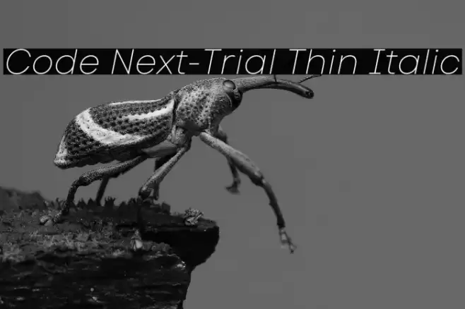 Code Next-Trial Thin Italic Font examples