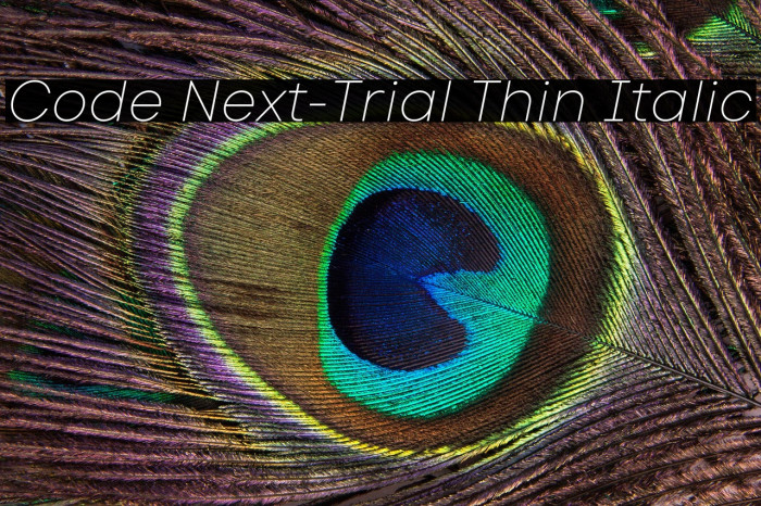 Code Next-Trial Thin Italic Example 3