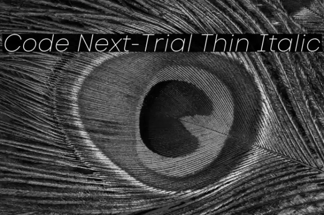 Code Next-Trial Thin Italic Font examples