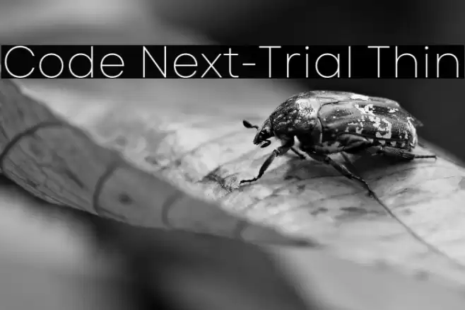 Code Next-Trial Thin Font examples