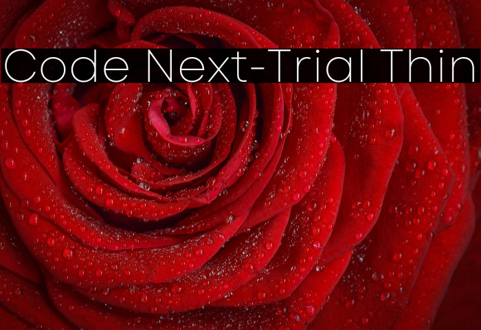 Code Next-Trial Thin Example 2