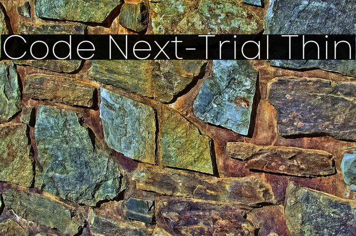 Code Next-Trial Thin Example 3